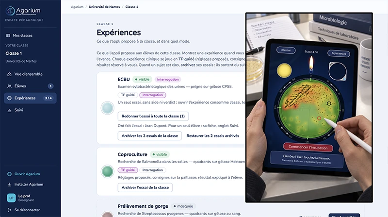 Agarium : l'espace pédagogique de l'enseignant et, sur tablette, une boîte de Petri ensemencée à l'öse